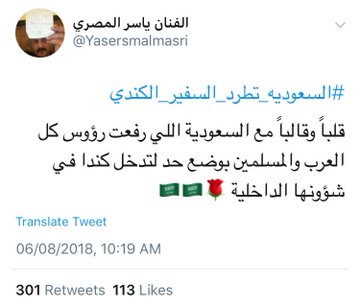 عرض الصورة على تويتر