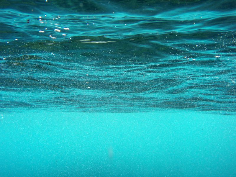 GonnaDive's tweet photo. Is Solid Land Necessary for Biology?
https://t.co/YwRWITAGhX
#marinebiology #marinelife #marine #underwaterlife #underwaterbiology #UWlife #underwater #solidland #biology https://t.co/M2hUytyhOj