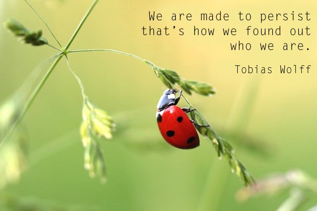 ArtCraftTweets's tweet photo. #Quote #Inspiration #Reliance "We are made to persist..." #Empowerment https://t.co/vK629Q6MWj