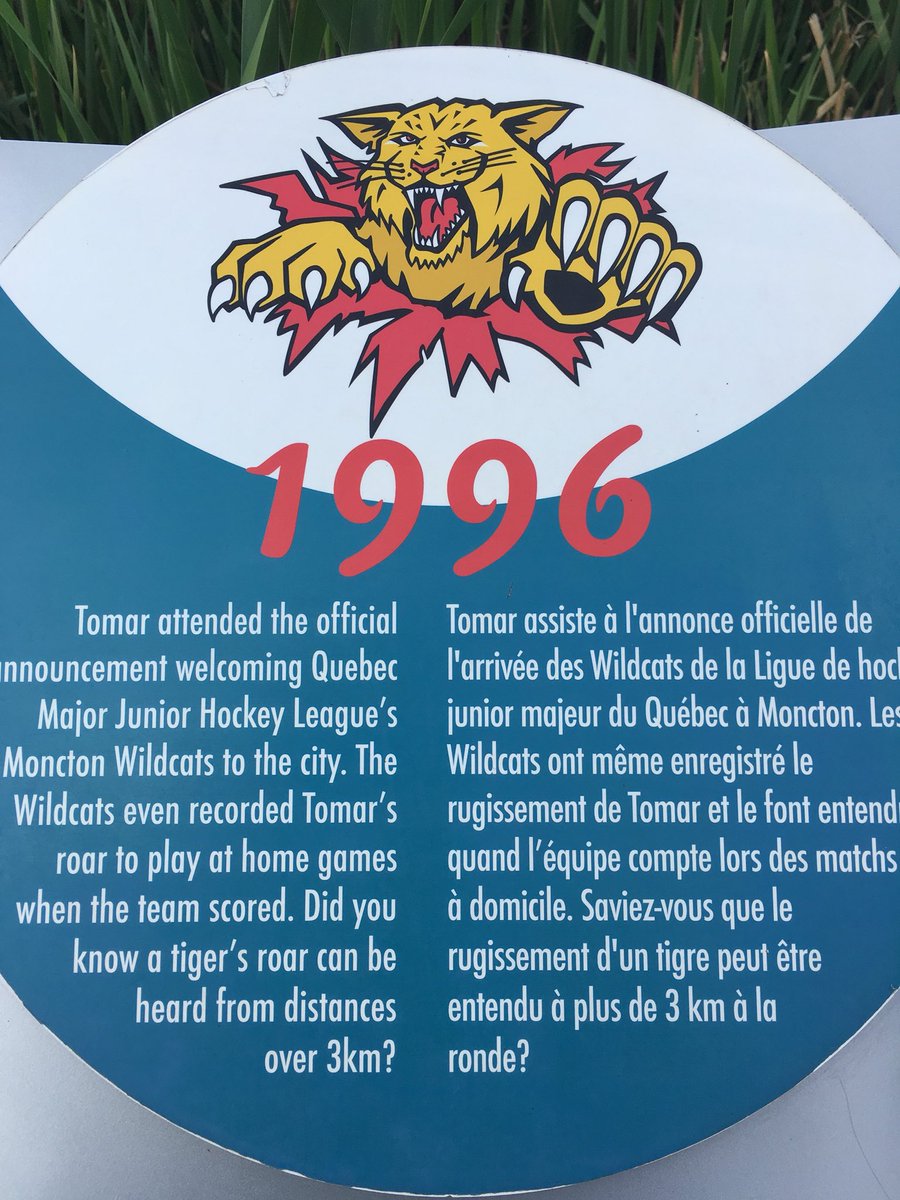 Dear @monctonwildcats 
Bring this ROAR back for every goal! 
“Wildcats goal scored by number 12 Jeremy McKennnnnnnnna....ROAR” but not after every assist, that’s too much..lol 
Signed, 
Adam 

#Moncton #MonctonWildcats #DefendTheDen #BringBackTheRoar