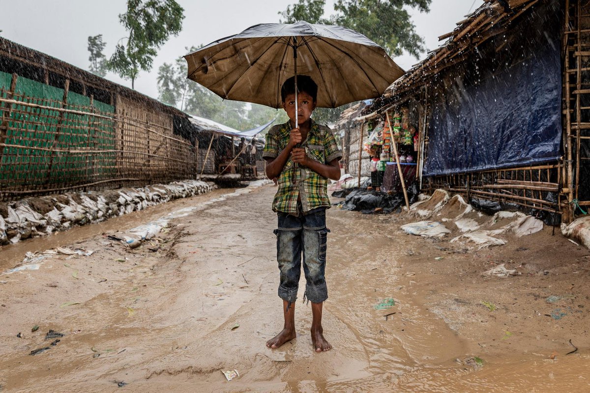 Una generación perdida. 
Es el riesgo que corren más de 500.000 niños rohingya que no reciben educación adecuada.

Ellos no pueden esperar. Se necesita más inversión urgente, advierte @UNICEFenEspanol: bit.ly/ONU-UNICEFAler…