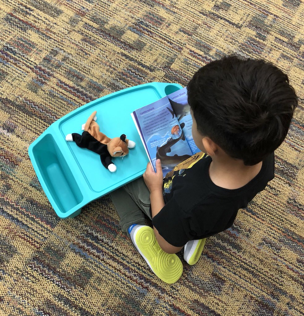 MissEvansKiddos's tweet photo. Today we worked on our reading stamina with a little help from our reading buddies! 🐸🐵🦁🐶 #204Braves https://t.co/FL8K3jToBB
