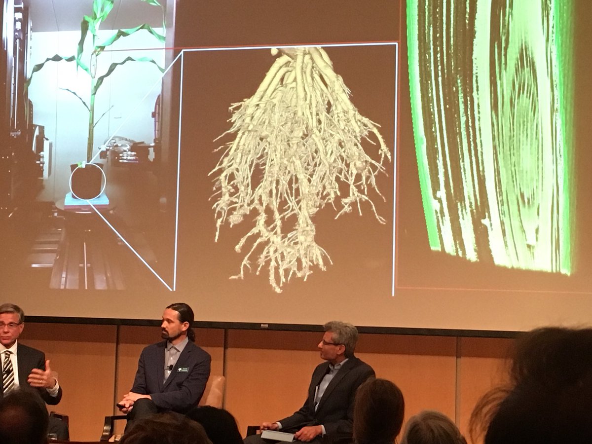cmseeve's tweet photo. Chris Topp Lab @RootDevo developing 3D root imaging techniques to view the hidden half of plants  @DanforthCenter @Tech_Accel #ConvoSTL https://t.co/Lxr0JAOaoU