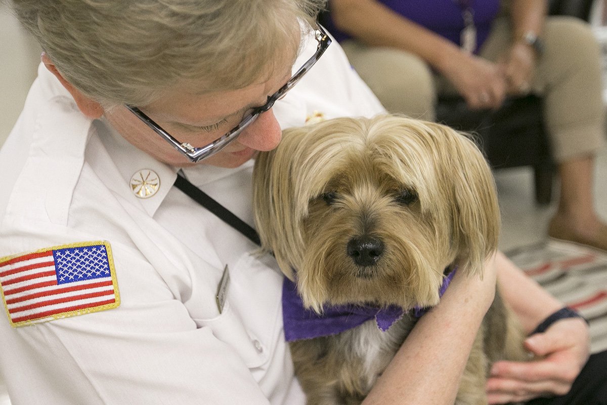 ArturoFernandez's tweet photo. Spent some time with @SAHealthSystem #CaringCanines during a visit to @CityofRockford 911 center.
@rrstar #rockstarzphotos #photogswhowrite #doggy
https://t.co/aQbaGYOVUg https://t.co/Ddh10d7gcB
