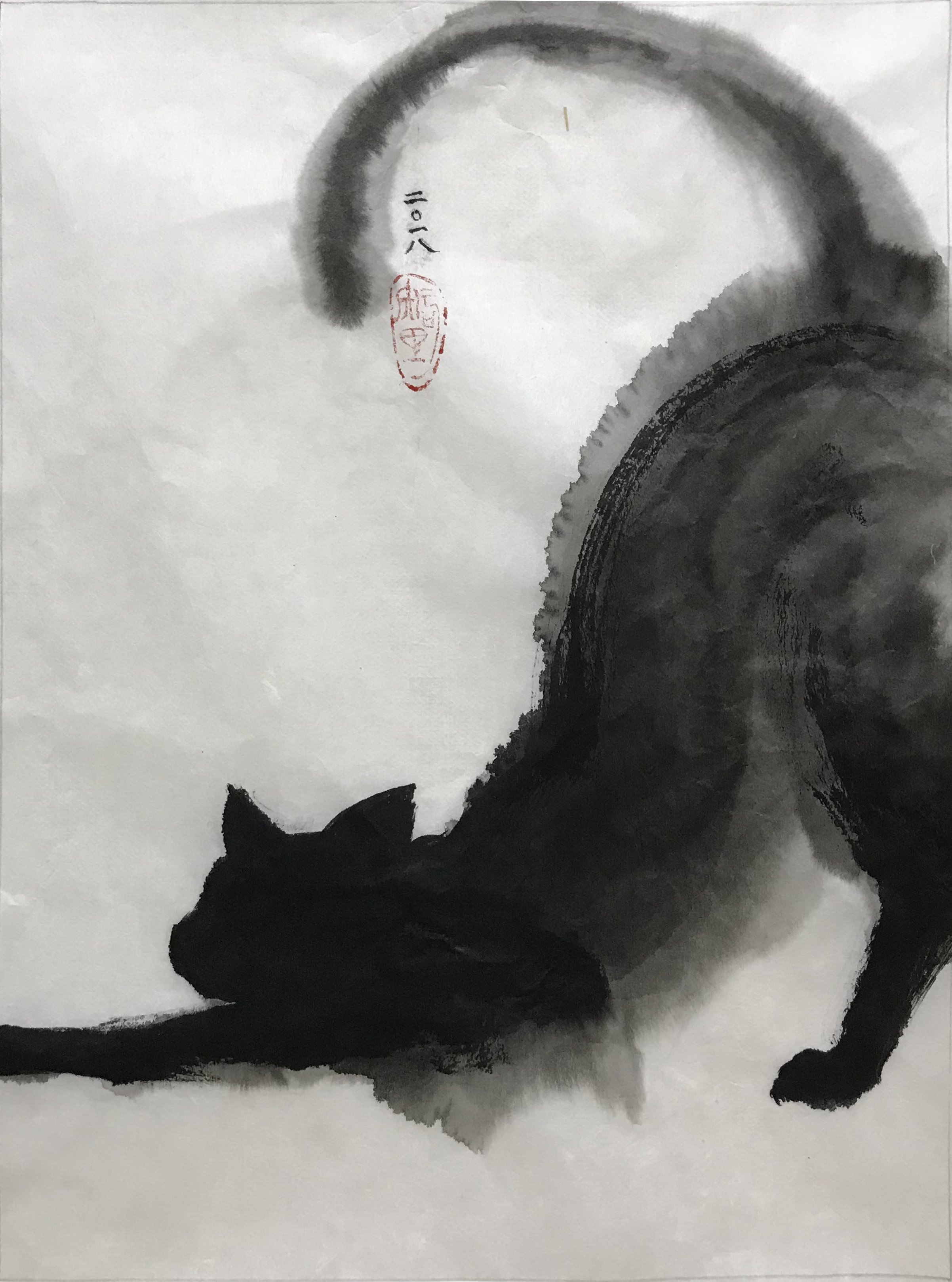 Chiri Kuroiwa / 黒岩知里 على X: 