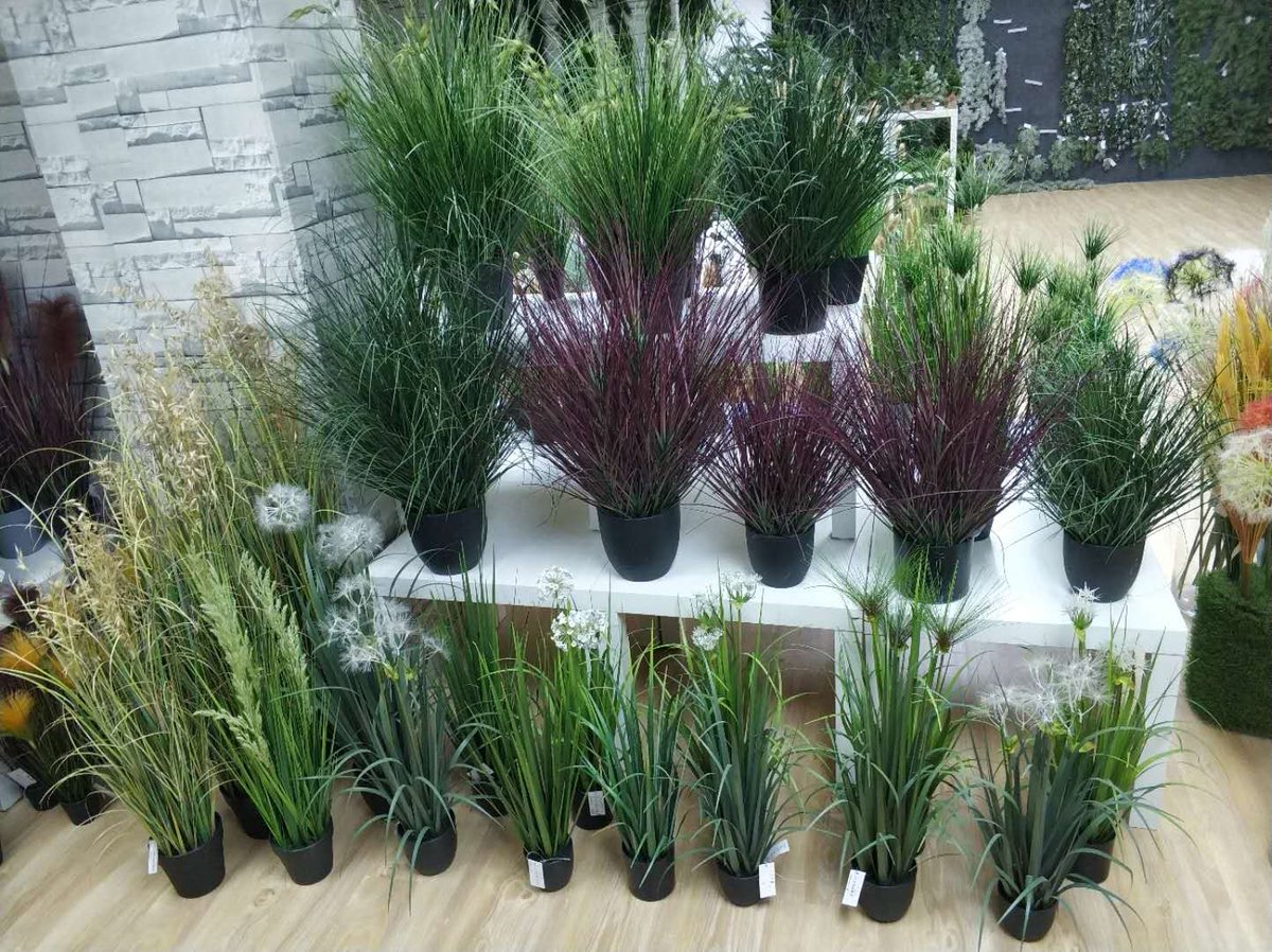 Jack yang (@jackyang2006) on Twitter photo 