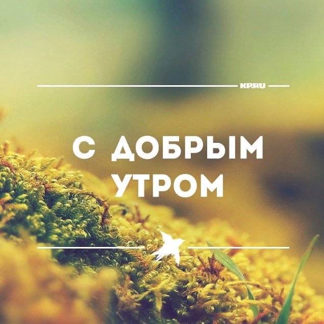 Картинки с добрым утром прикольные друзьям пятница