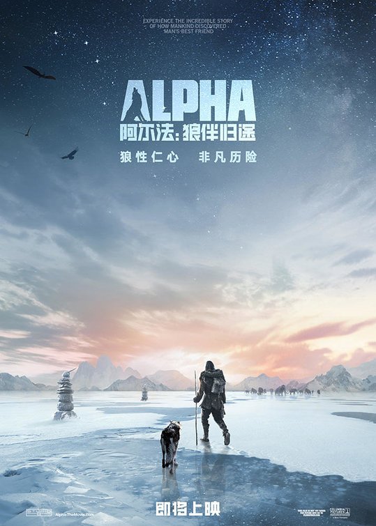OnlyFilmMedia's tweet image. Check out these international posters for #AlphaMovie (2018 film).