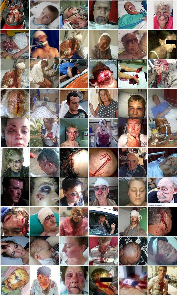 Teuton05816925's tweet photo. #FarmMurders #Genocide 
For all the deniers out there. 

So, you stage 85000 gruesome murders. 
And your only demand is for the murders to stop.
That's it. Just, stop the murders.

You have to be some kind of stupid denying the murders are taking place. https://t.co/b7ffbiMokP