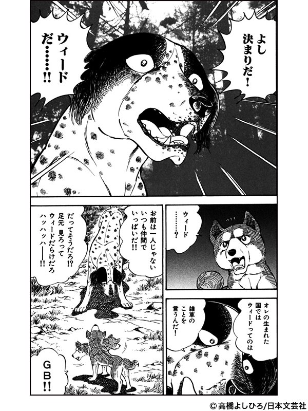 ブックパス Au以外も使える Twitterren 高橋よしひろ 先生の代表作 銀牙 シリーズ から 銀牙伝説ウィード 銀牙伝説 Weedオリオン が今だけ全巻読み放題 さらに Auスマートパスプレミアム会員なら抽選で 秋田犬 のキュートなぬいぐるみをプレゼント ブックパス Au以外も使える Twitterren 高橋よしひろ 先生の代表作 銀牙 シリーズ から 銀牙伝説ウィード 銀牙伝説 Weedオリオン が今だけ全巻読み放題 さらに Auスマートパスプレミアム会員なら抽選で 秋田犬 のキュートなぬいぐるみをプレゼント