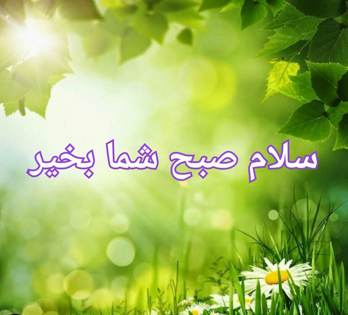 Liberty_Liberal's tweet photo. صبح را آغاز می کنیم با نام دوست
جنبش عالم همه با یاد اوست
آن خدایی که عشق را در ما نهاد
مهرو محبت هرچه زیبایی ست در اوست

سلام صبحتون پرخیر و برکت 
آدینه‌تون مملو از شادی و رحمت💚 https://t.co/LXhmnIroB3