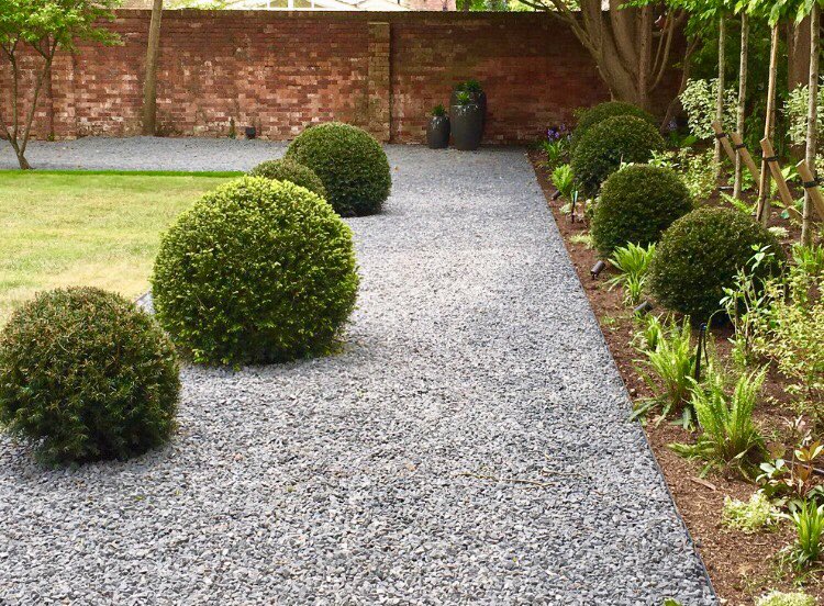 lebensbaum thuja occidentalis brabant Abendlndischer Lebensbaum Thuja occidentalis Brabant 125-150 cm Hhe