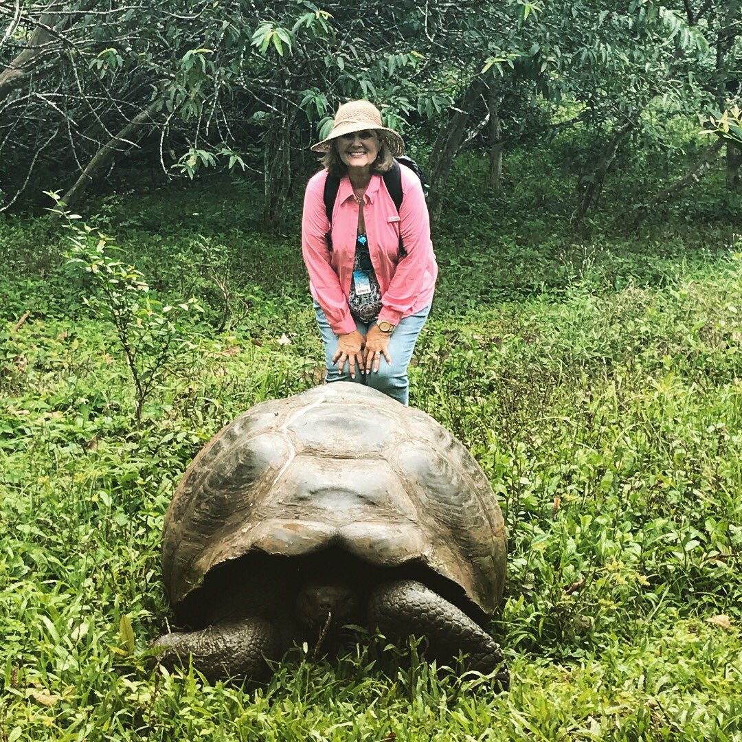 unleashedltc's tweet photo. VIP life + Galapagos Island adventure = a @Silversea cruise! We just love the wonderful pics our clients shared with us as they explored in luxury with knowledgeable guides to provide them with a new, extraordinary adventure every day! #unleashedltc #luxury #adventure #cruise https://t.co/SuaMVQGrjw
