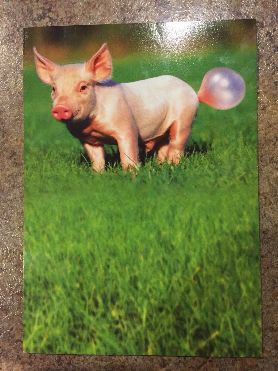jamesrortiz's tweet photo. My 5 year old son couldn’t stop laughing when he gave me this birthday card yesterday that he picked out himself. 😒 #ThanksBoy https://t.co/te9RZOF7w8