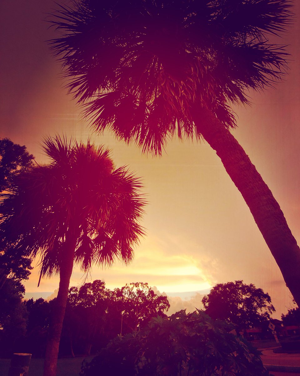 mrsrmcdaniel's tweet photo. I take nice photographs #depressiontoexpression #crazybaby https://t.co/YgXBRYayng