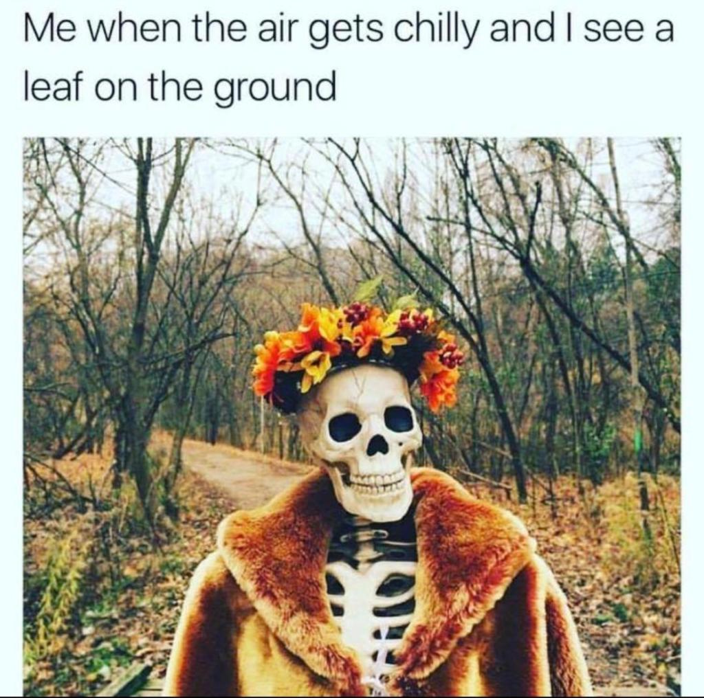 SpiritHalloween's tweet photo. Retweet if #fall is your favorite season! https://t.co/ub5roQF8td