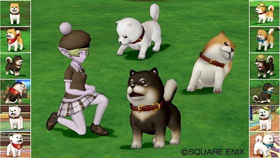 ドラゴンクエストx 公式 Dqxショップ かわいいワンコの錬金人形 柴犬ついてクンカプセル12種類が仲間入り さらば愛しのポイックリン のエピソードに登場した ワイルドでセレブな衣装 レオパードセット や 心おちつく環境音でリラックス 音の