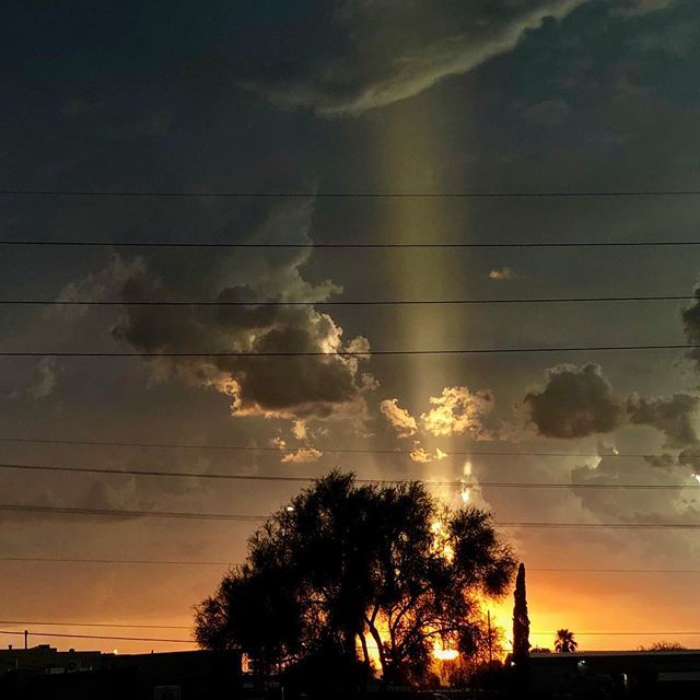 Mark Newhouse tweet media