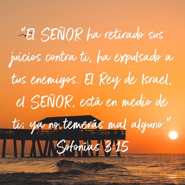 “El SEÑOR ha retirado sus juicios contra ti, ha expulsado a tus enemigos. El Rey de Israel, el SEÑOR, está en medio de ti; ya no temerás mal alguno.”
Sofonías 3:15