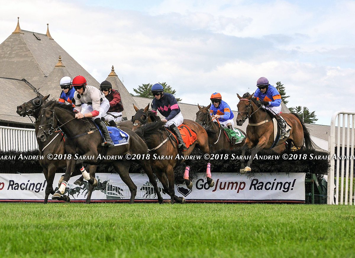 SarahKAndrew's tweet photo. The GI New York Turf Writers Cup opens the competition at longer distances, &amp; Optimus Prime made easy work of the 2 3/8 miles, winning by 1 1/4 lengths w/ another well-timed move under @RossGeraghty77, who collected his 100th American victory. More @theTDN https://t.co/AkEmNEVTil https://t.co/ZQuow1mHxi