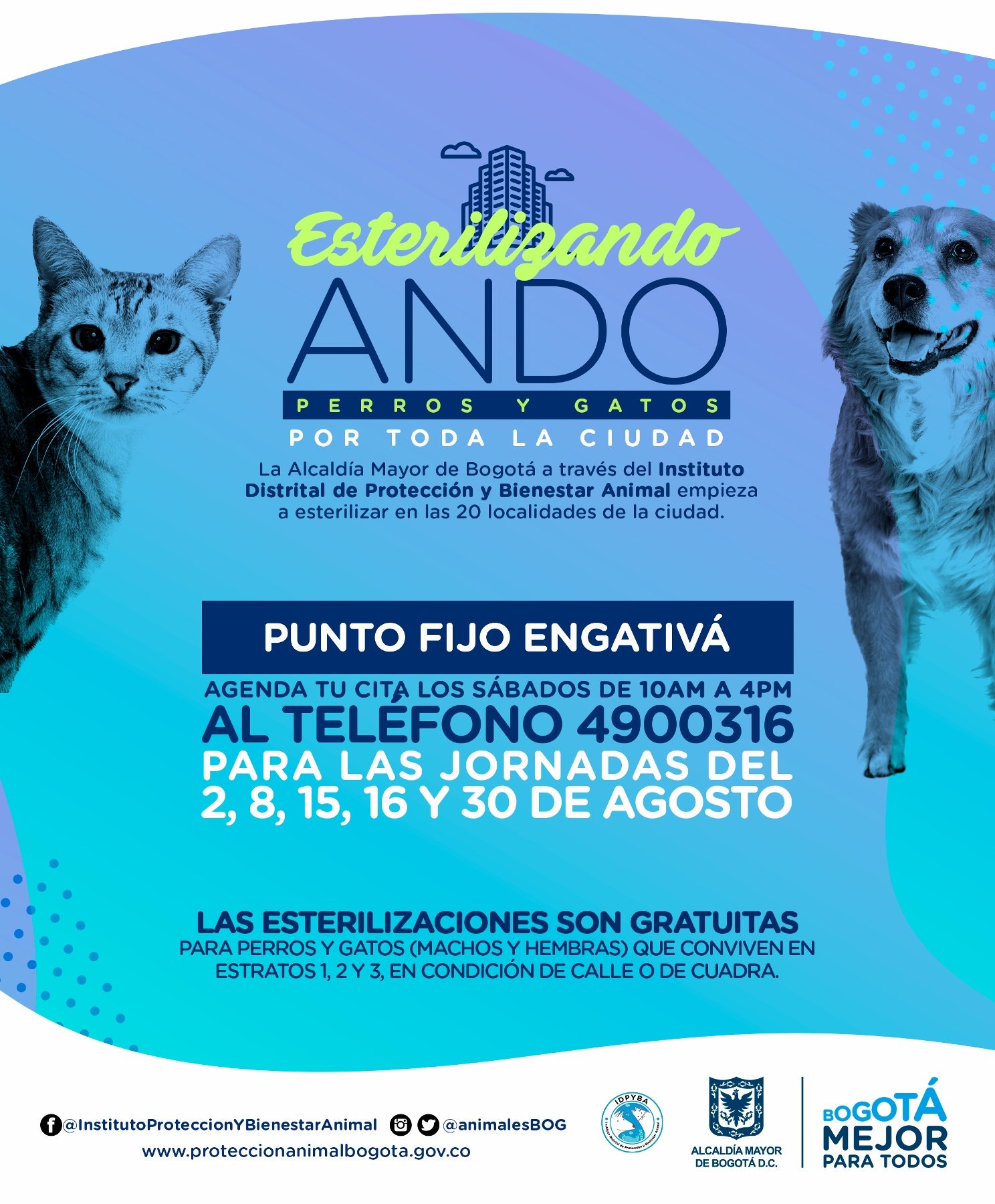 Protección Animal Bogotá в Twitter: „@parito76 @Bogota @teusaquillo13 @Citytv @NoticiasCaracol @CanalCapital @CaracolRadio @elespectador @ArribaBogota @rcnradio @CABLENOTICIAS @NoticiasRCN Hola @parito76, te dejamos el número para agendar la cita en ... Protección Animal Bogotá в Twitter: „@parito76 @Bogota @teusaquillo13 @Citytv @NoticiasCaracol @CanalCapital @CaracolRadio @elespectador @ArribaBogota @rcnradio @CABLENOTICIAS @NoticiasRCN Hola @parito76, te dejamos el número para agendar la cita en ...
