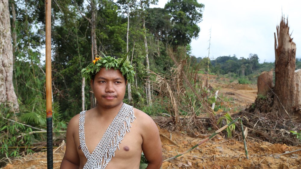 "If the land is barren, there are no more sources of life. Our traditions will die" act.gp/2Lhkpw1