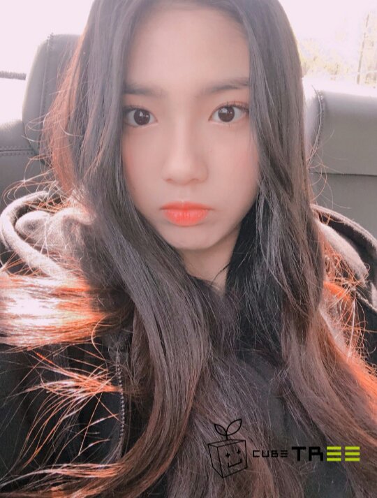 cubetraineeintl's tweet photo. [Pic] addxcubetree update #HanChowon #한초원 #Chowon #초원 #CUBETrainee #큐브연습생 #CUBEGirls #큐브걸즈 https://t.co/h0NgKUeOGV