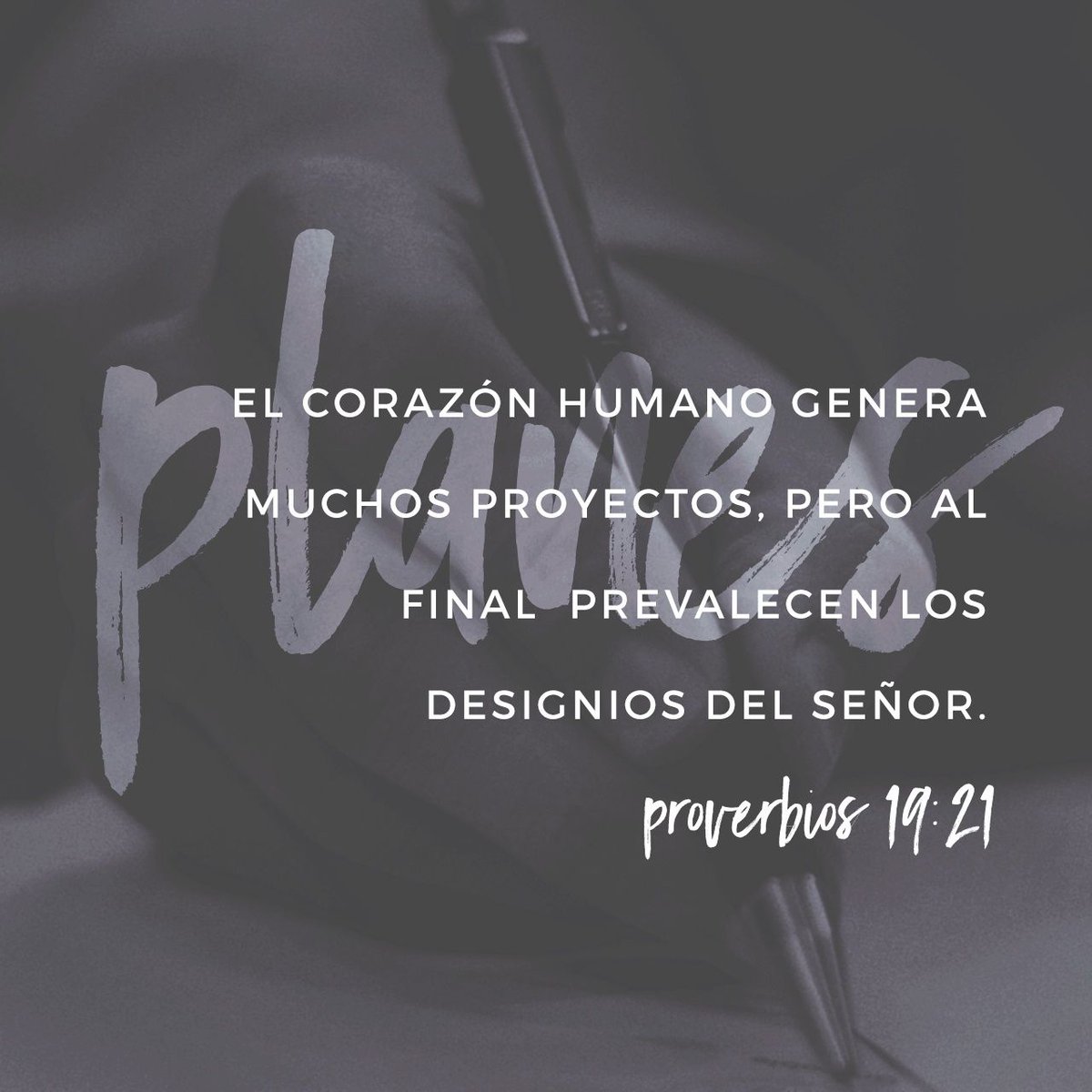 FlorVictor_'s tweet photo. El hombre propone, y Dios dispone.
Proverbios 19:21 TLA https://t.co/Eh73HgD335