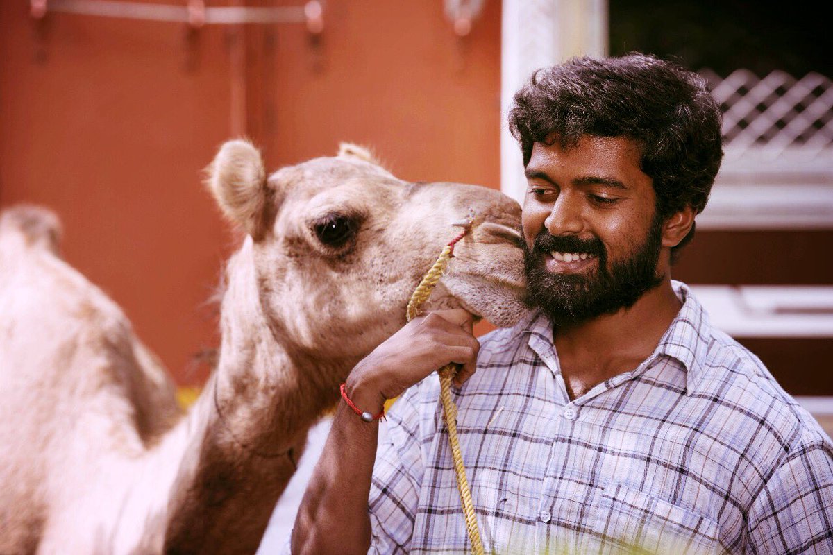 #bakridthemovie #bakrid #camel @Jagadeesan_subu @immancomposer @AntonyLRuben @dhilipaction #m10 production