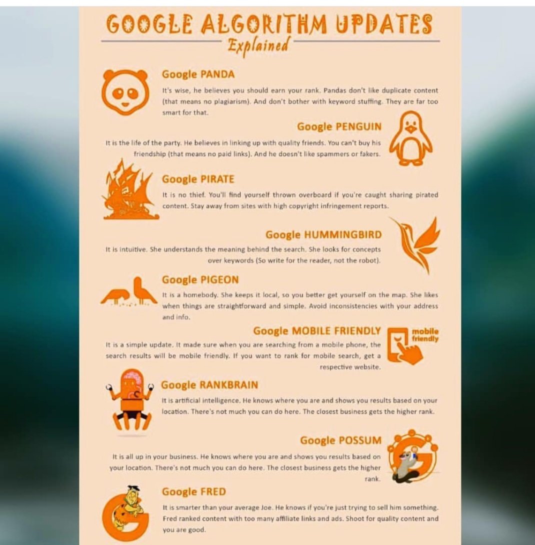 #googleupdates #googlealgorithms 
#SEO #SEOMetrics #googlepanda