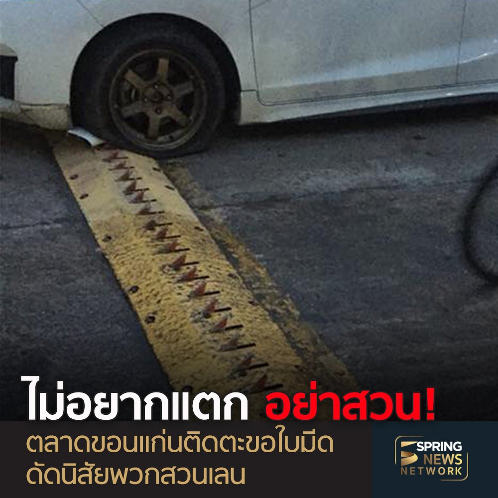 SpringNews tweet media