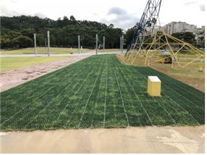 #성남시 
#공원과
#시청공원
#잔디생육환경개선

잔디생육환경 개선을 위하여 시청사 내
잔디보호매트를 설치하였습니다.