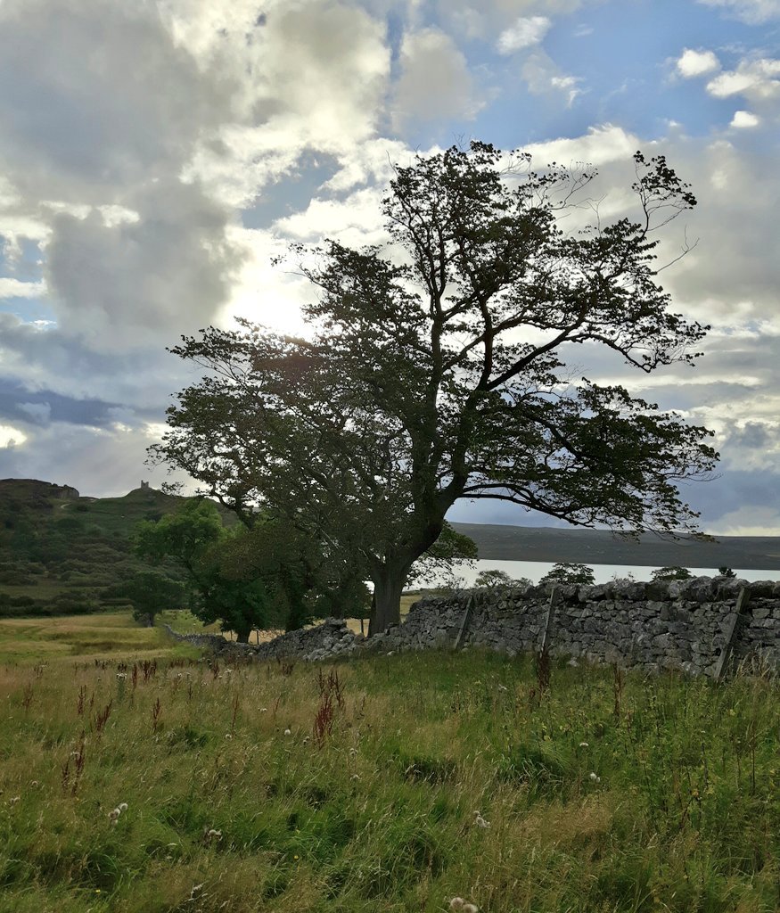 AliceVoetter's tweet image. Day 2 on the @NorthCoast500 - #counterclockwise #solitude #breathtakinglybeautiful @VisitScotland #lovescotland