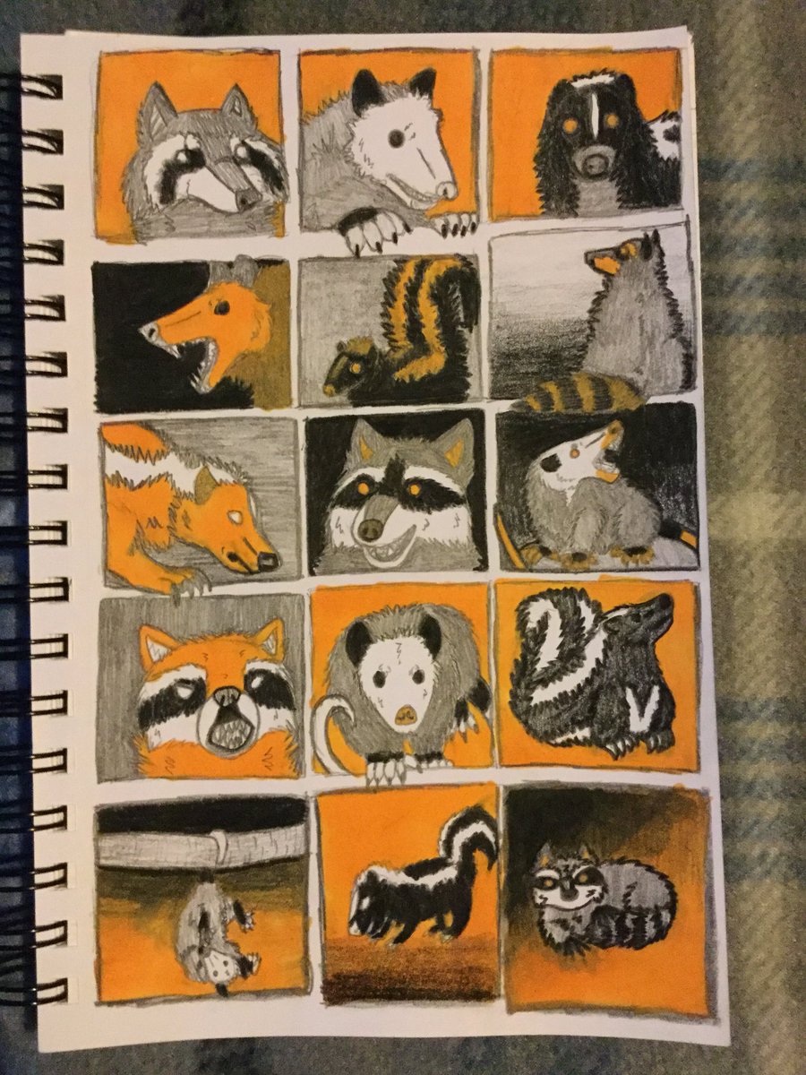 Wolfpangolin's tweet photo. #traditonaldrawing #drawing #art #illustration #pencil #graphite #sketch #doodle #marker #kibathedemonicwolf #kibawolfpangolin #wolfpangolin #wolfpangolinstudio #animals #cute #silly #thumbnails #yellow #raccoon #raccoons #skunk #skunks #opossum #opossums #possum https://t.co/GpC3cJwKvH