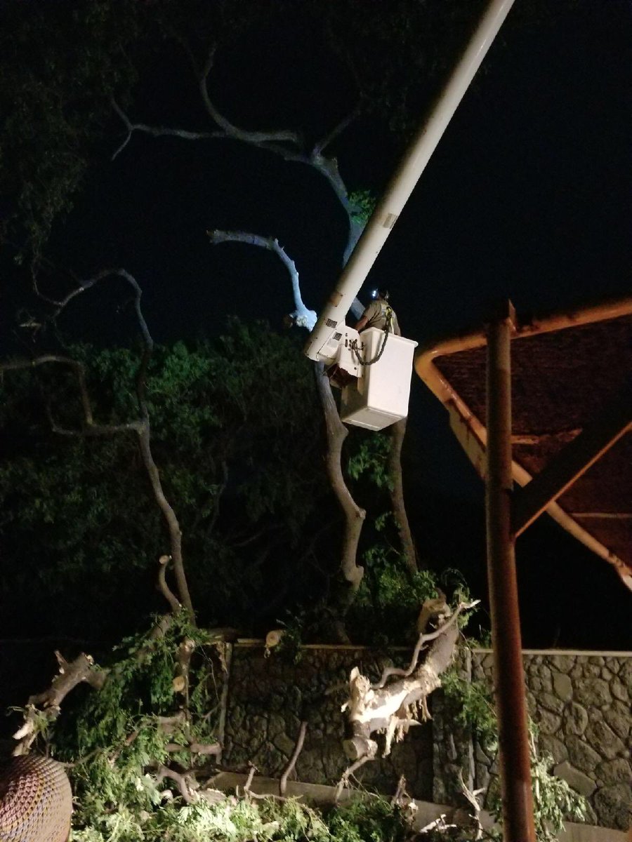 View image on Twitter