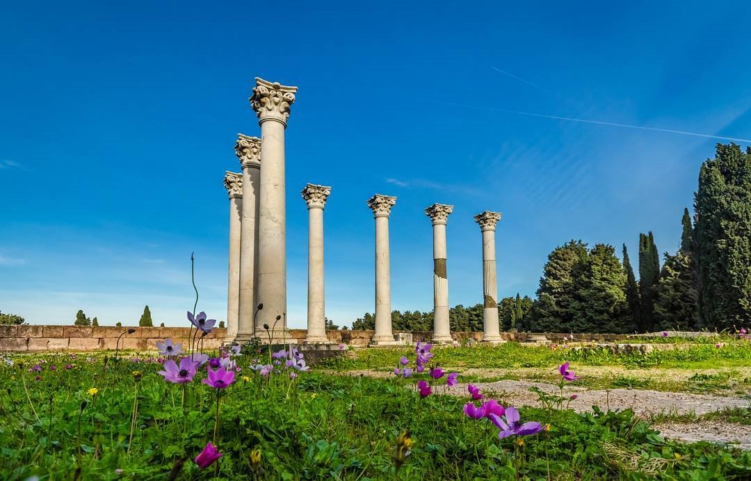 greecelovR's tweet photo. 🇬🇷 🌟🌟🌟🌟🌟 The most famous and long standing monument of Kos, the Asclepeion!
#VisitGreece #Greece #Kos #instabreaks #traveltogreece #greeceholiday #seasonholiday#greekislands #greecevillas #villas #villaholiday #wishyouwherehere #athensvoice #grece #grecia #греция #vacation https://t.co/5z6JErWjms