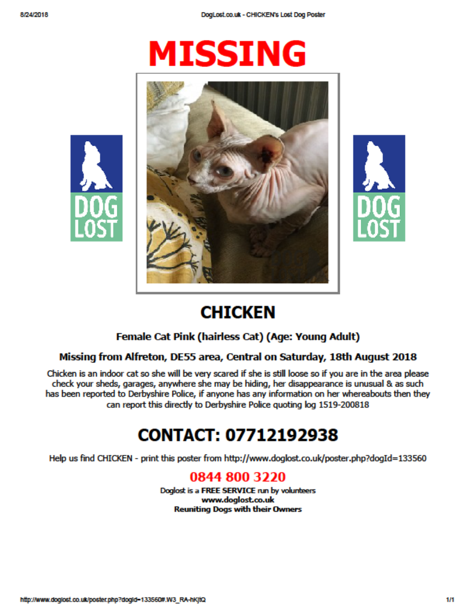 CatsMissing's tweet photo. 🆘#FindChicken INDOOR #LostCat Escaped home 18/8/18 #Alfreton #Derby DE55 Pink Hairless
#NeedsFindingFast as cannot survive outdoors
Will be very scared
Derbyshire Police Log 1519-200818
#MissingCatsUK @DoglostUK▶https://t.co/V6L5lspnKZ
#HelpFindChicken▶https://t.co/BFZZ1jRGmn https://t.co/ZQhbKeLs1k