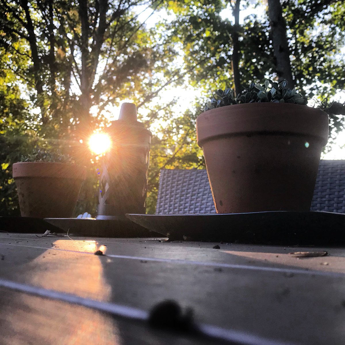 Sunsets and sunrises. #goodmorning #nature #sunrise #sunset #adirondackchairs #glassbottles #flowers