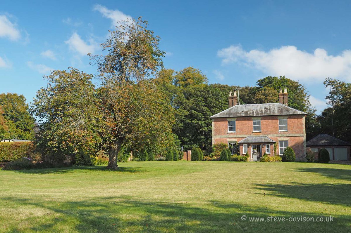 Steve Davison tweet media