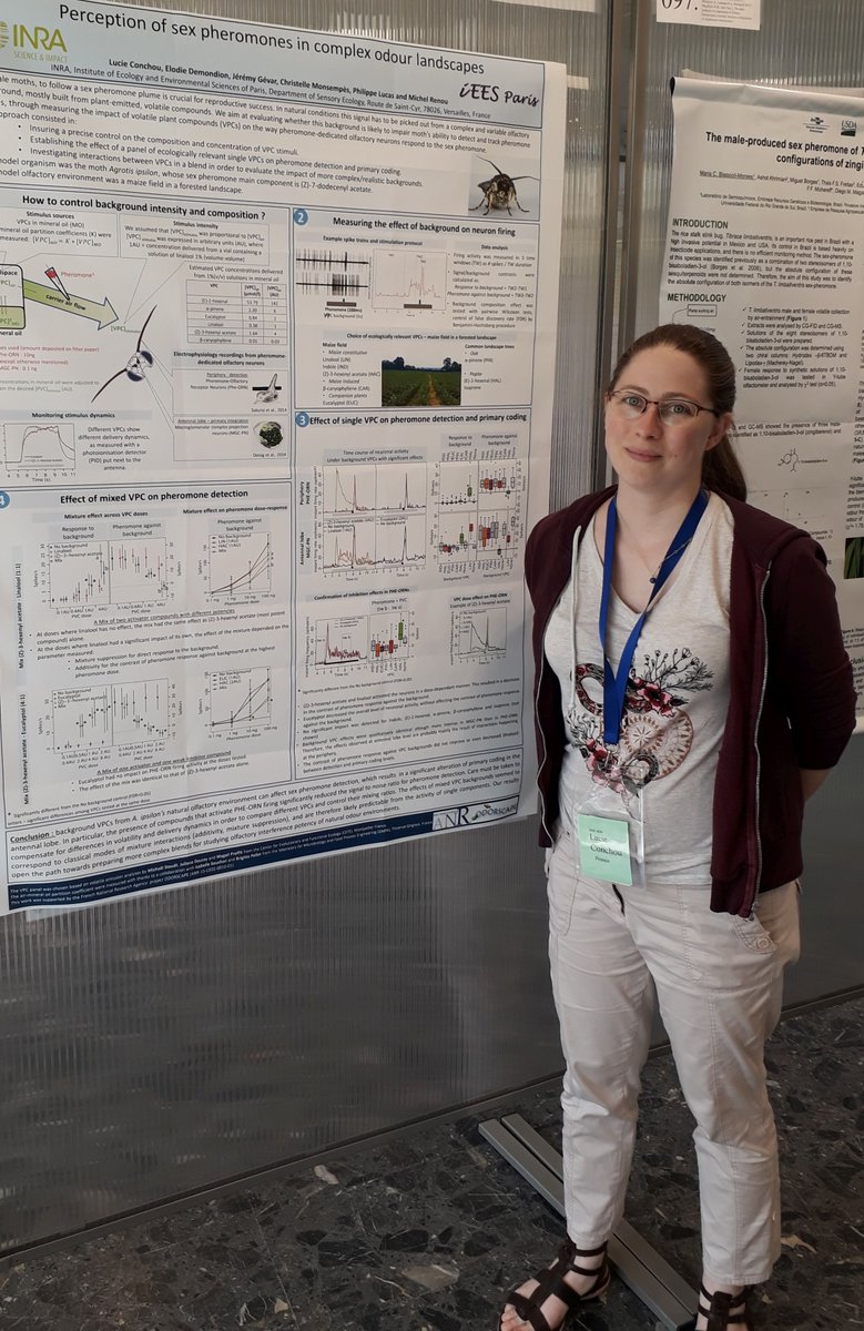 iEESParis's tweet photo. "Ecosens était au congrès de la société internationale d'écologie chimique à Budapest, Hongrie, du 12 au 18 aout: présent au comité scientifique et parmi les participants #isce2018 @INRAspe https://t.co/D9kHwoHwpI