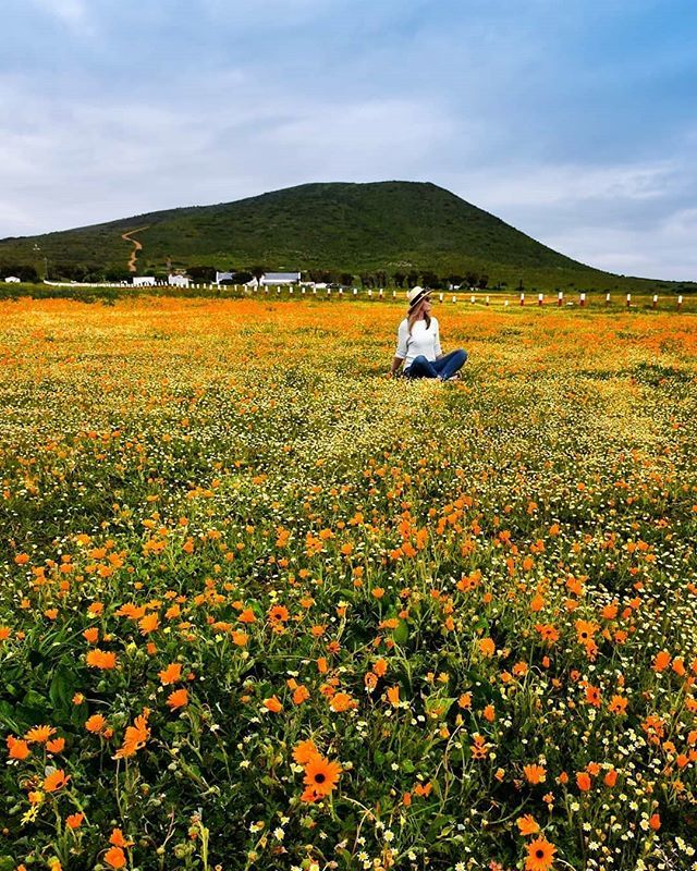 GottaLoveSA's tweet photo. 🌺🌻🌼This happens to those that live colourful lives. 🌼🌻🌺.
📷Photo: @d_pwhitaker .
.
. .
#gottalovesa #weekendloading #fridayvibes #explorenation #huffpostgram #lifeofadventure #livefolk
ArtofVisuals #wanderlust #neverstopexploring #visualscollect… https://t.co/dXVW8XEO65 https://t.co/sseOPOqrxO