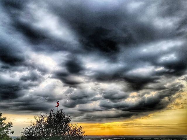 catherineIda's tweet photo. Reposting @nbienvenuphotography:
L'or, le gris et les voluptées
#promode #manual #leicalens #huaweip20pro #p20protho #templesurlot #france #aiguillon #lotetgaronne #acquitaine #famille #family #roots #racines #sunsetlights #southwest #sudouest #voyage #travel #travelgram https://t.co/rF1dllN1ZG