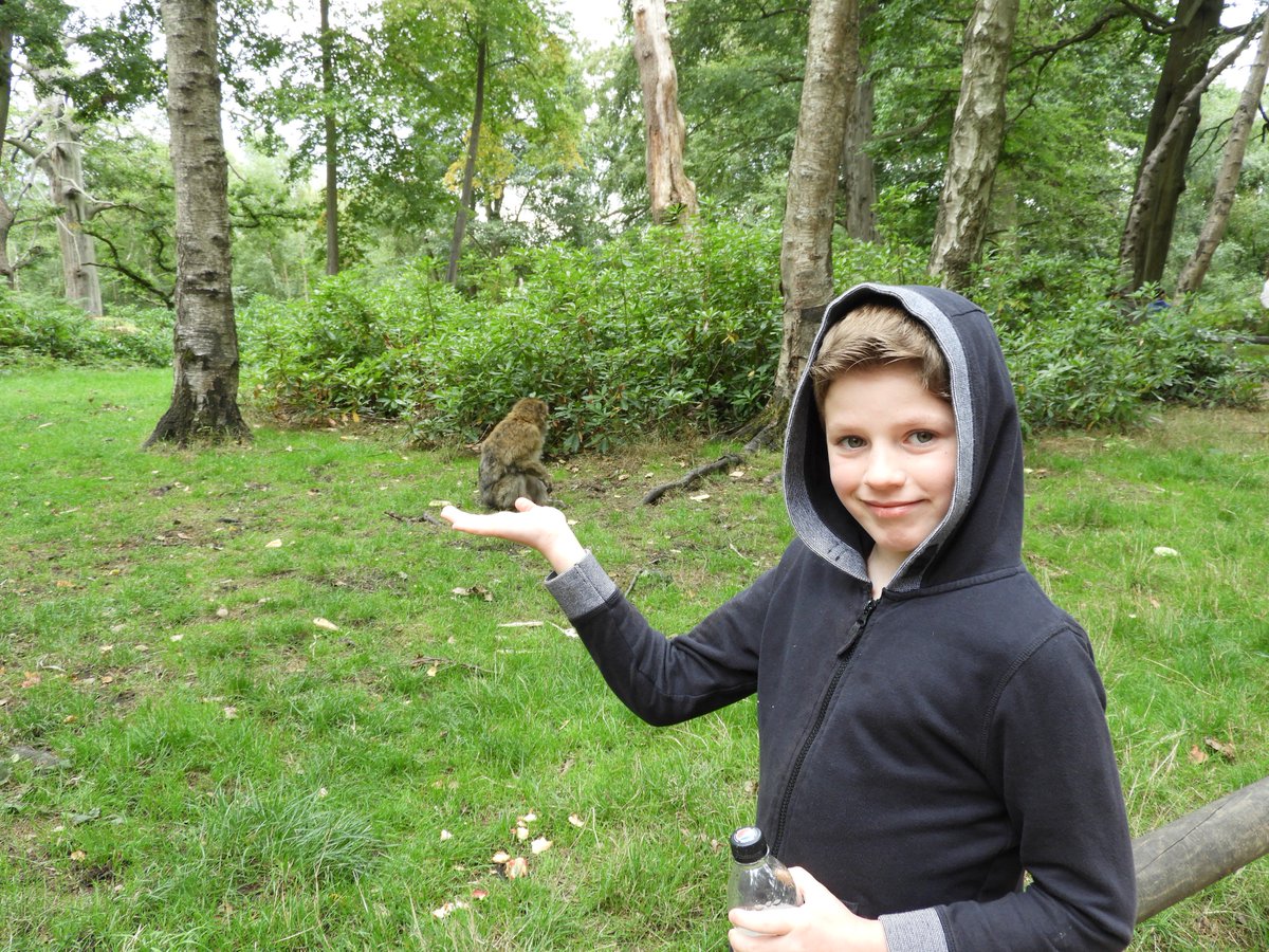 goliathsbane's tweet photo. Great time @Monkey_Forest my son loved it! The fate of the planet & it's wildlife is in our hands.
#MonkeyPics https://t.co/uqo8Lpylzd
