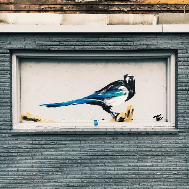 QuinnWelsch's tweet photo. Put a bird on it! At Rogue Heart Media on Monroe Street. #knowmonroe #spokane #pnw #vscofilter https://t.co/XxJbWiuNHy https://t.co/sXaAbpjUyM