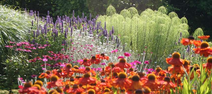 BluebellCottGdn's tweet photo. Another Bank Holiday!  How did that happen? Gardens looking fab, U18's FOC, @GWmag &amp; @The_RHS cards accepted.  We may even have some wild meadow seed avail!  Yes!!  We are open!!
@plantlife @VisitCheshire #FridayFeeling #BankHolidayWeekend #Cheshire #wildflowerhour #wildflowers https://t.co/nyESCTaVfa