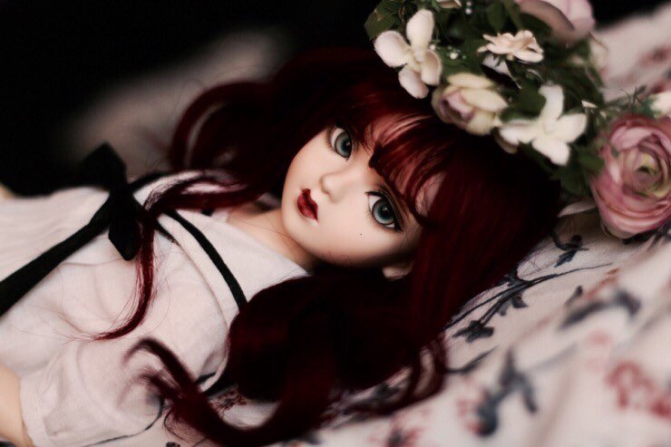 MayDayiii's tweet photo. :: 💕 MY BJD LIST💕 ::

VOLKS MSD Fcs no.6 : Claese 클레
VOLKS MSD Hewitt : Angelica 안즈
VOLKS SDM Kira : Henrietta 에타
NAPIDOLL USD Carol : Doram 도람 https://t.co/yy0p4eIQWa