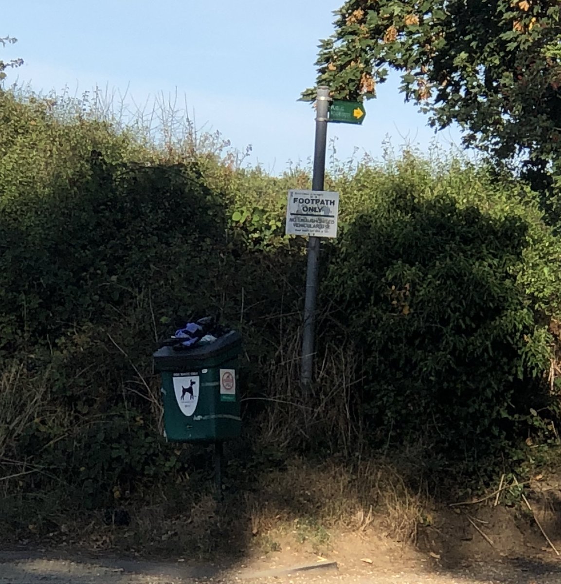 quinnstagramlab's tweet photo. Hey @WestBerkshire My humans get fined for not picking it up. How much do you get fined for not picking it up? #pickitup #westberkshirecouncil https://t.co/82aO3lkDPw