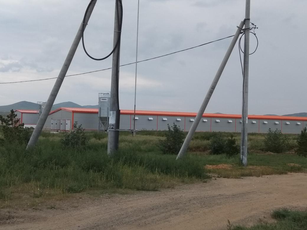 Энэ том үйлдвэр Монгол орны нийт өндөгний хэрэгцээний 30%-ийг л хангадаг ажээ. Хамгийн том бэрхшээл: 400 мянган тахианаас жилд гардаг 2000тн ялгадас/сангас. Хэдэн жил адлагдсан энэ хог харин одоо жилд тэрбумын ашиг өгөх сангасны бордооны үйлдвэр болох гэж бна. Браво <a href="/Lombo_erkhem/">Ломбын Эрхэмбаяр</a>