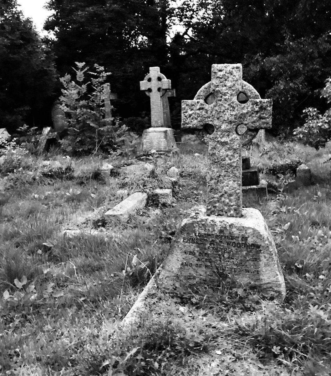 Victoria Creer (Trixstix) tweet media