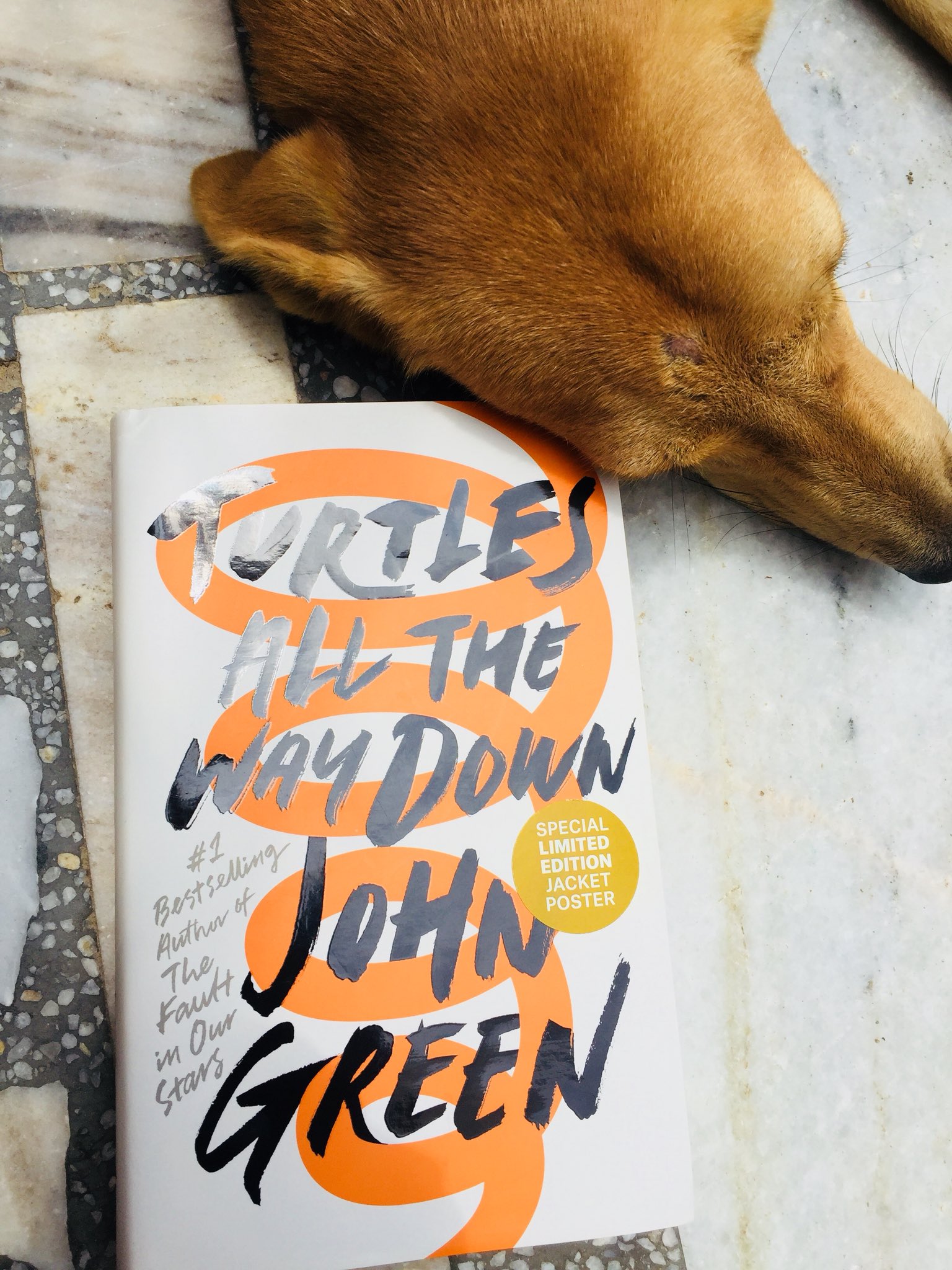 Happy Birthday John Green 